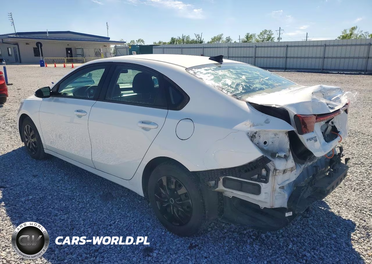 2020 Kia Forte Fe VIN:3KPF24AD5LE190919 - 2