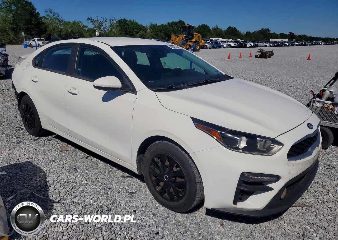 2020 Kia Forte Fe VIN:3KPF24AD5LE190919 - 4