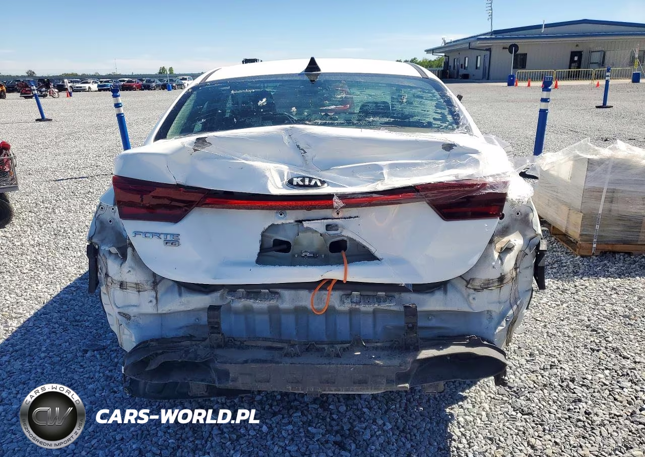 2020 Kia Forte Fe VIN:3KPF24AD5LE190919 - 6