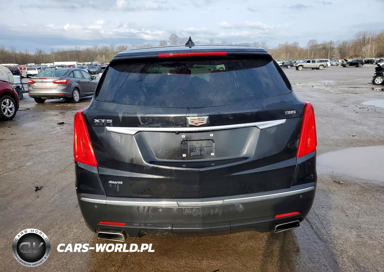 2019 Cadillac Xt5 Luxury VIN:1GYKNDRS8KZ193142 - 6