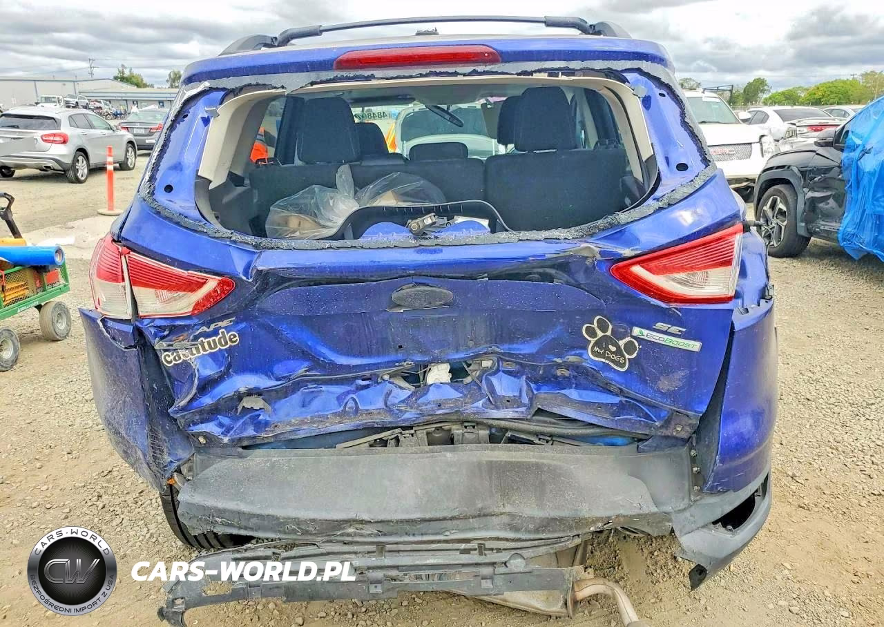 2013 Ford Escape Se VIN:1FMCU0G93DUC46234 - 6