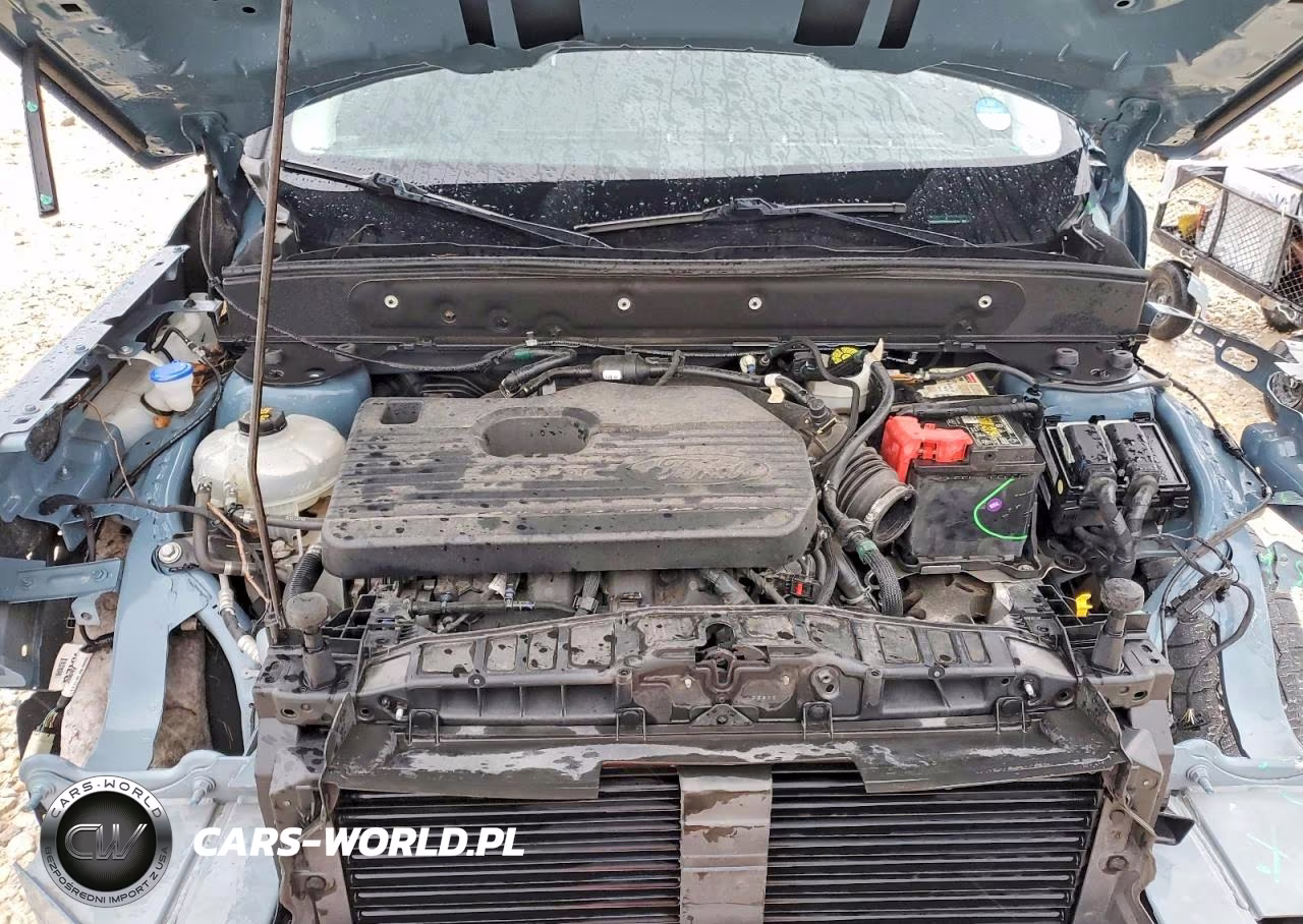 2021 Ford Bronco Sport First Edition VIN:3FMCR9F90MRA50654 - 12