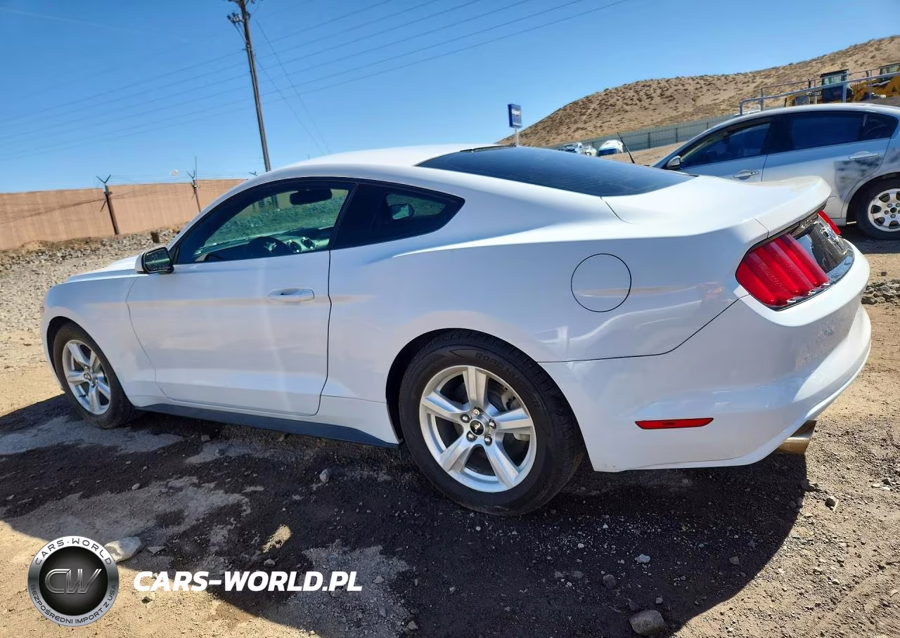 2017 Ford Mustang VIN:1FA6P8AM8H5329927 - 2