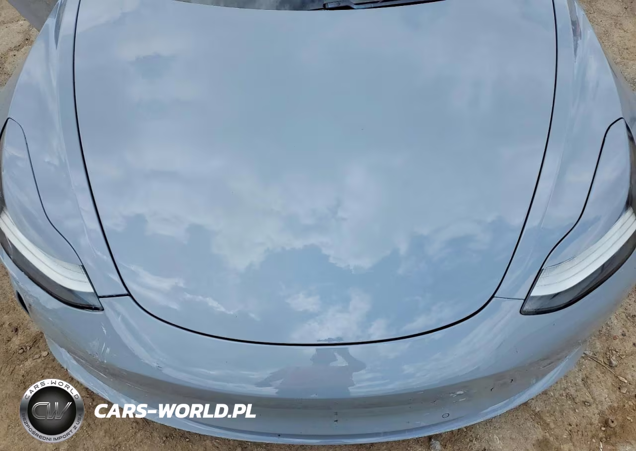 2019 Tesla Model 3 VIN:5YJ3E1EA3KF300528 - 11