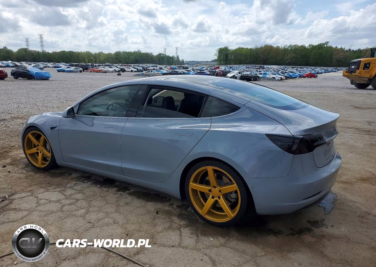 2019 Tesla Model 3 VIN:5YJ3E1EA3KF300528 - 2