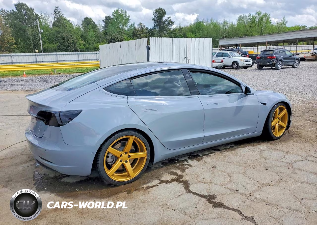 2019 Tesla Model 3 VIN:5YJ3E1EA3KF300528 - 3