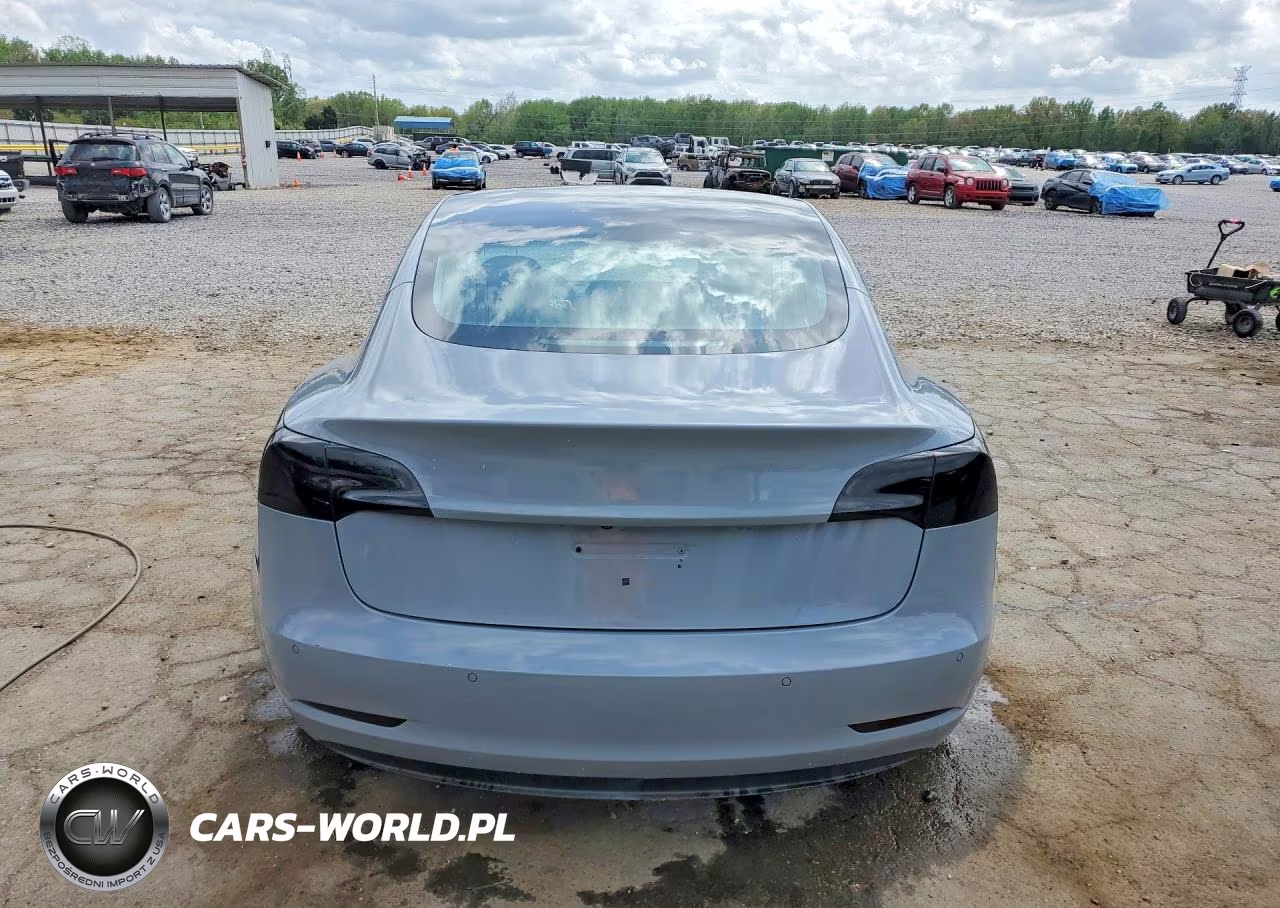 2019 Tesla Model 3 VIN:5YJ3E1EA3KF300528 - 6