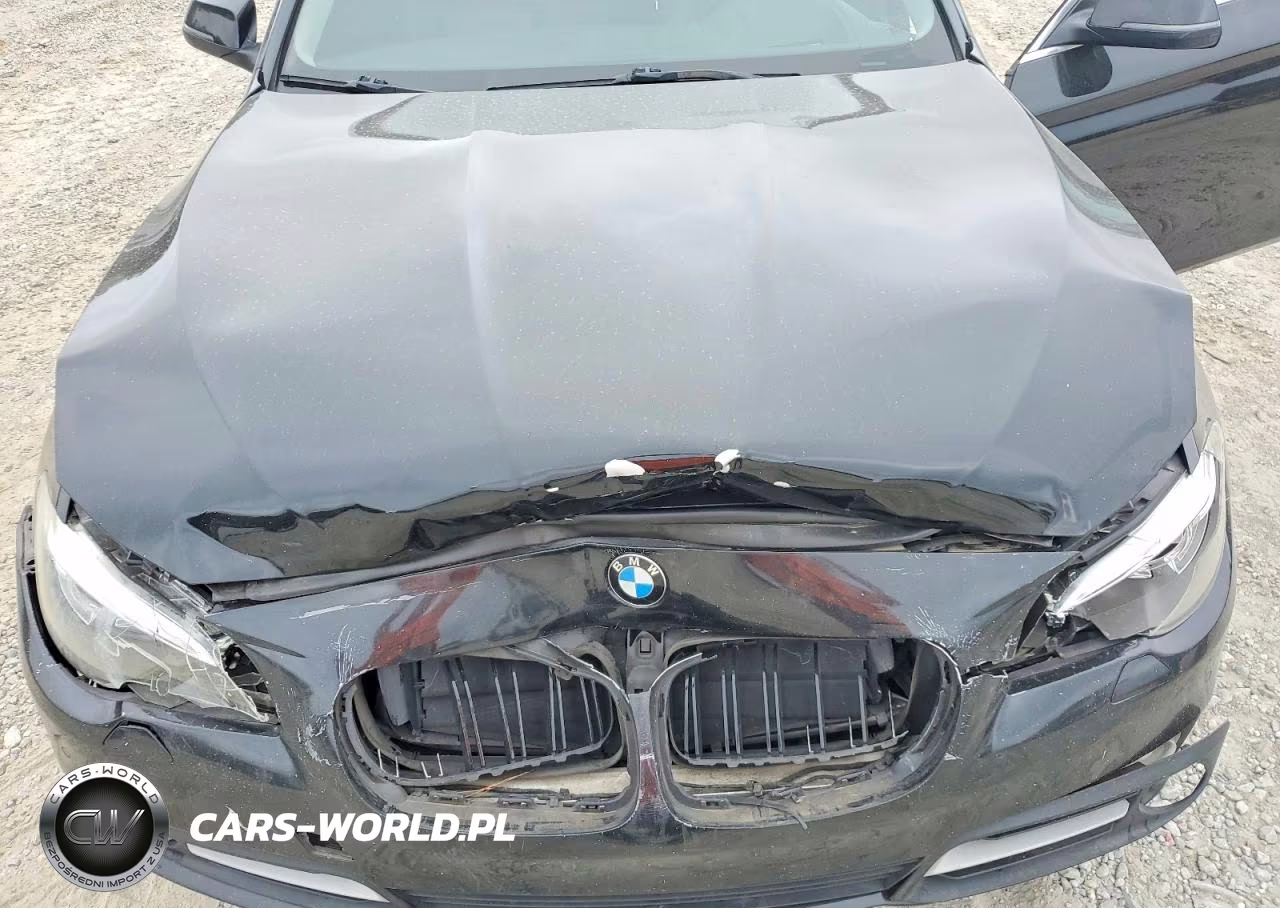 2015 BMW 528 I VIN:WBA5A5C56FD520645 - 11