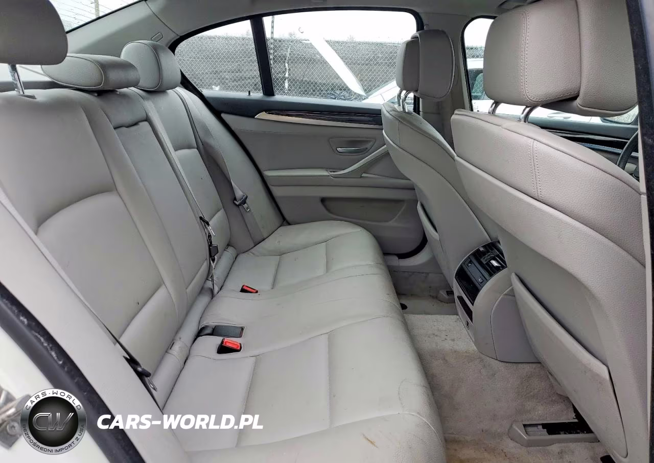 2013 BMW 528 Xi VIN:WBAXH5C54DDW13617 - 10