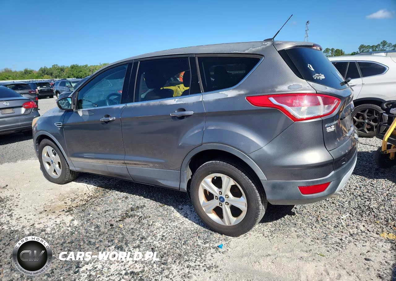 2014 Ford Escape VIN:1FMCU0GX3EUA79048 - 2
