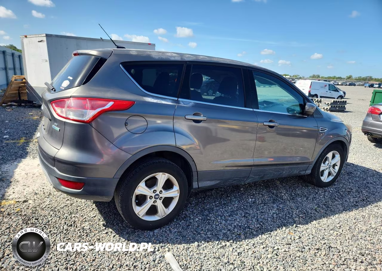2014 Ford Escape VIN:1FMCU0GX3EUA79048 - 3