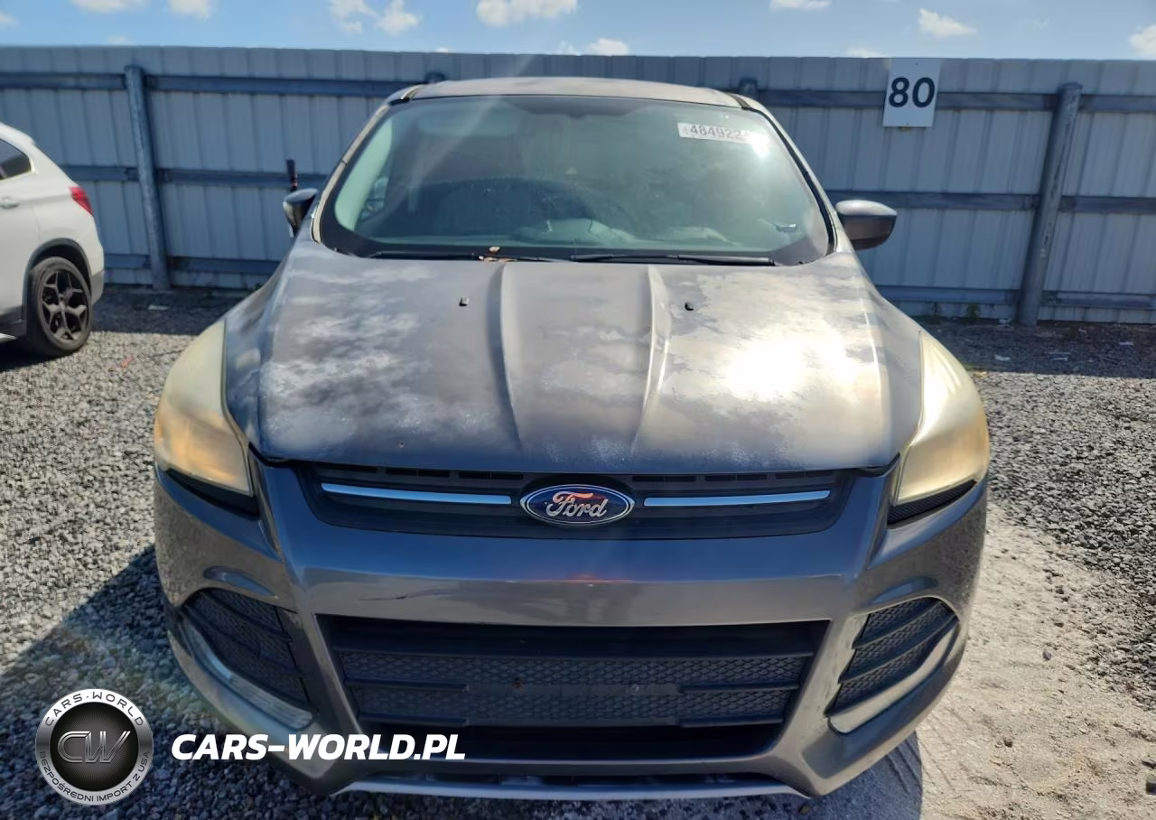 2014 Ford Escape VIN:1FMCU0GX3EUA79048 - 5