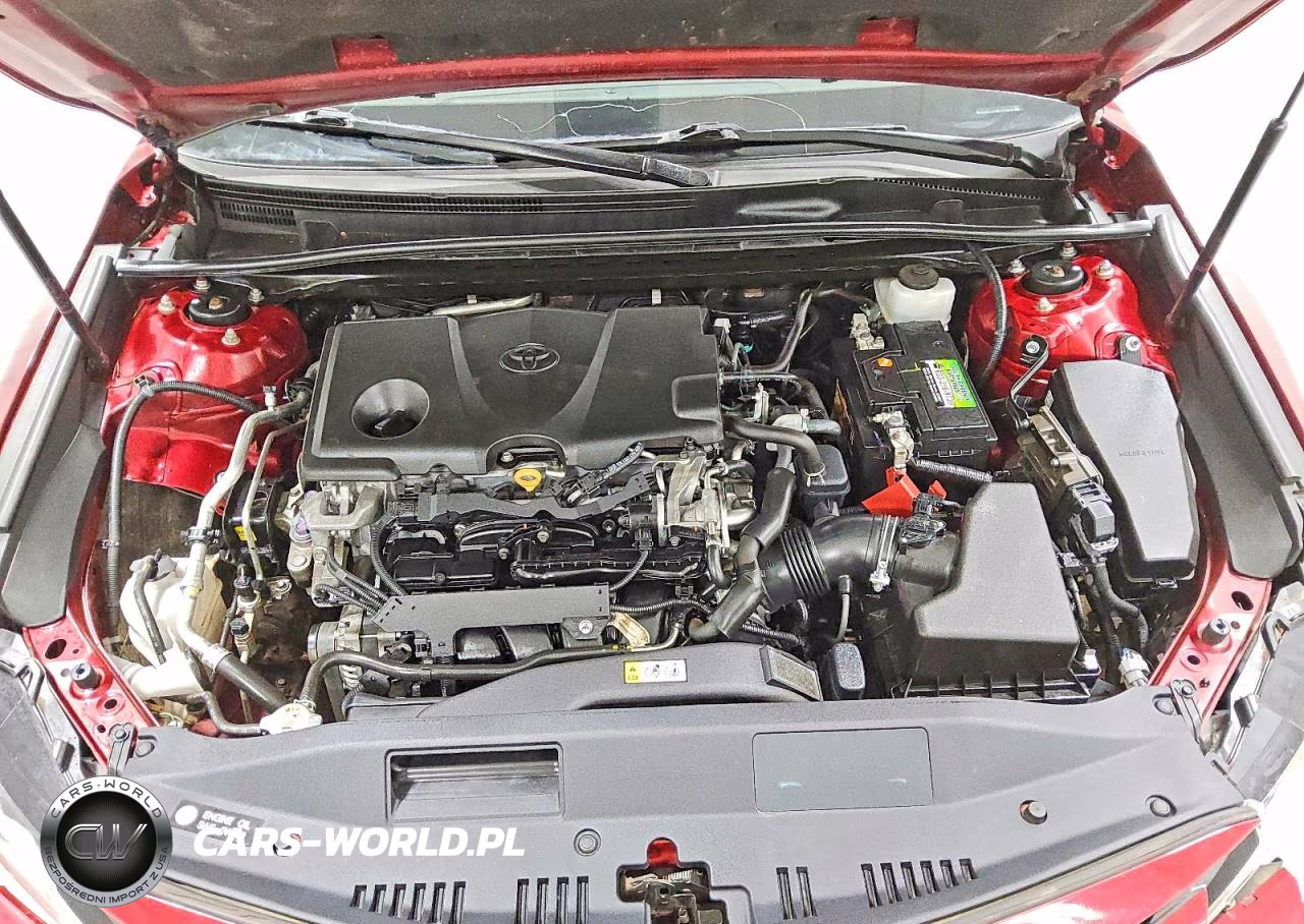 2019 Toyota Camry Le VIN:4T1B11HK7KU828930 - 11