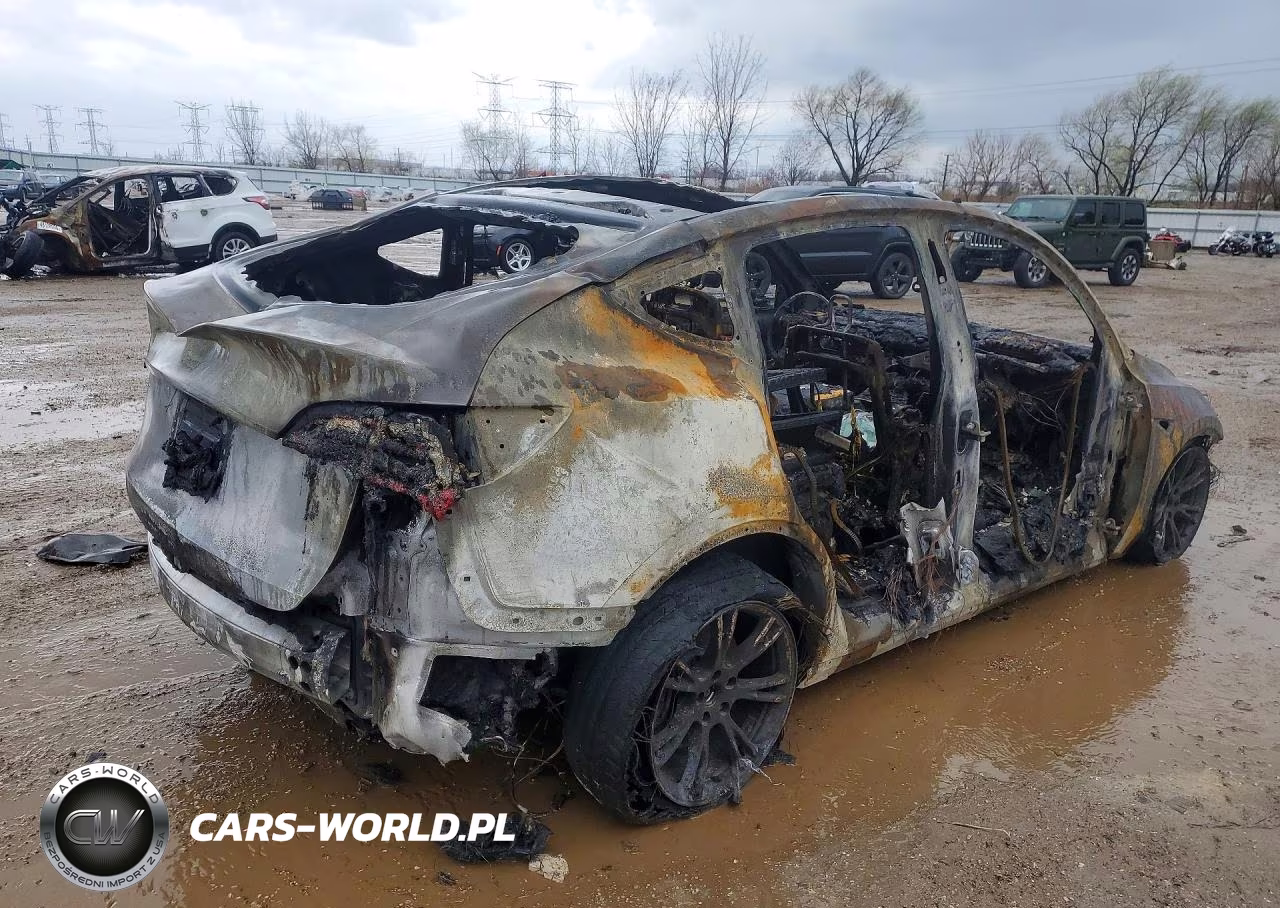 2024 Tesla Model Y VIN:7SAYGDEE0RF186084 - 3