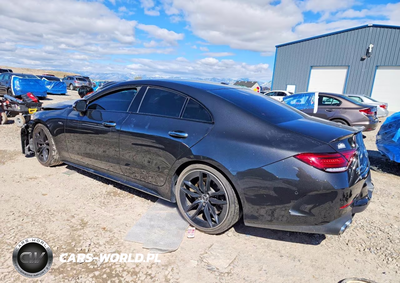 2019 Mercedes-Benz Cls Amg 53 4Matic VIN:WDD2J6BB9KA019673 - 2