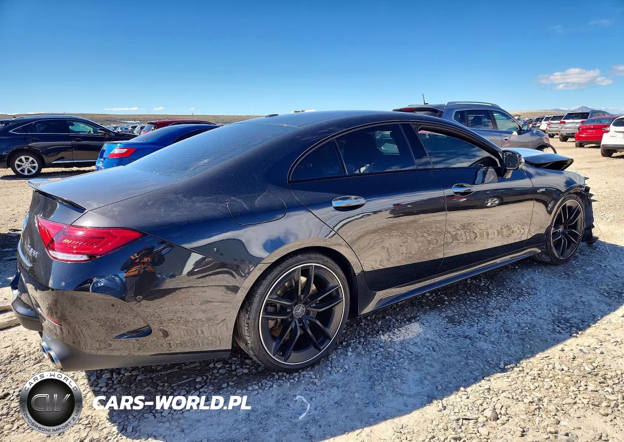 2019 Mercedes-Benz Cls Amg 53 4Matic VIN:WDD2J6BB9KA019673 - 3