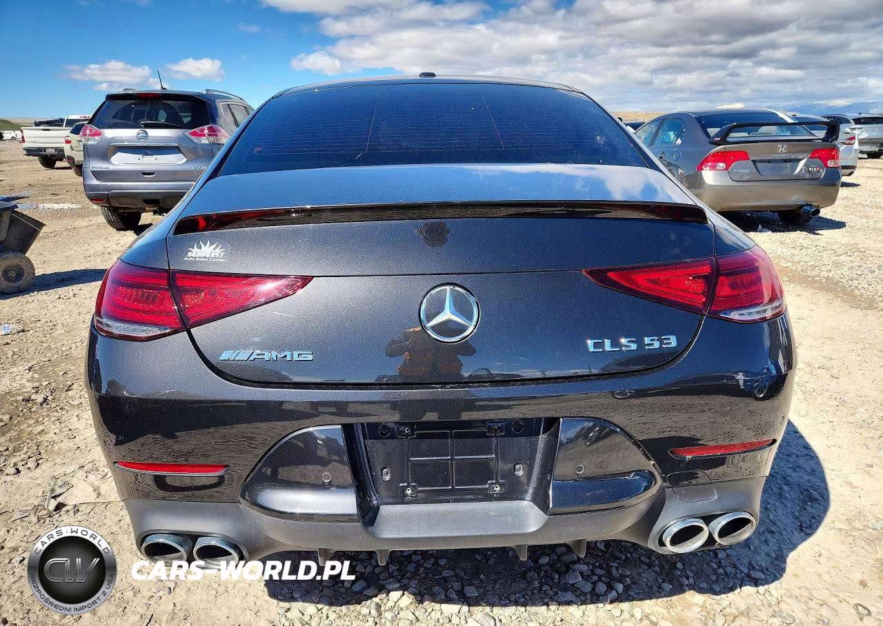 2019 Mercedes-Benz Cls Amg 53 4Matic VIN:WDD2J6BB9KA019673 - 6