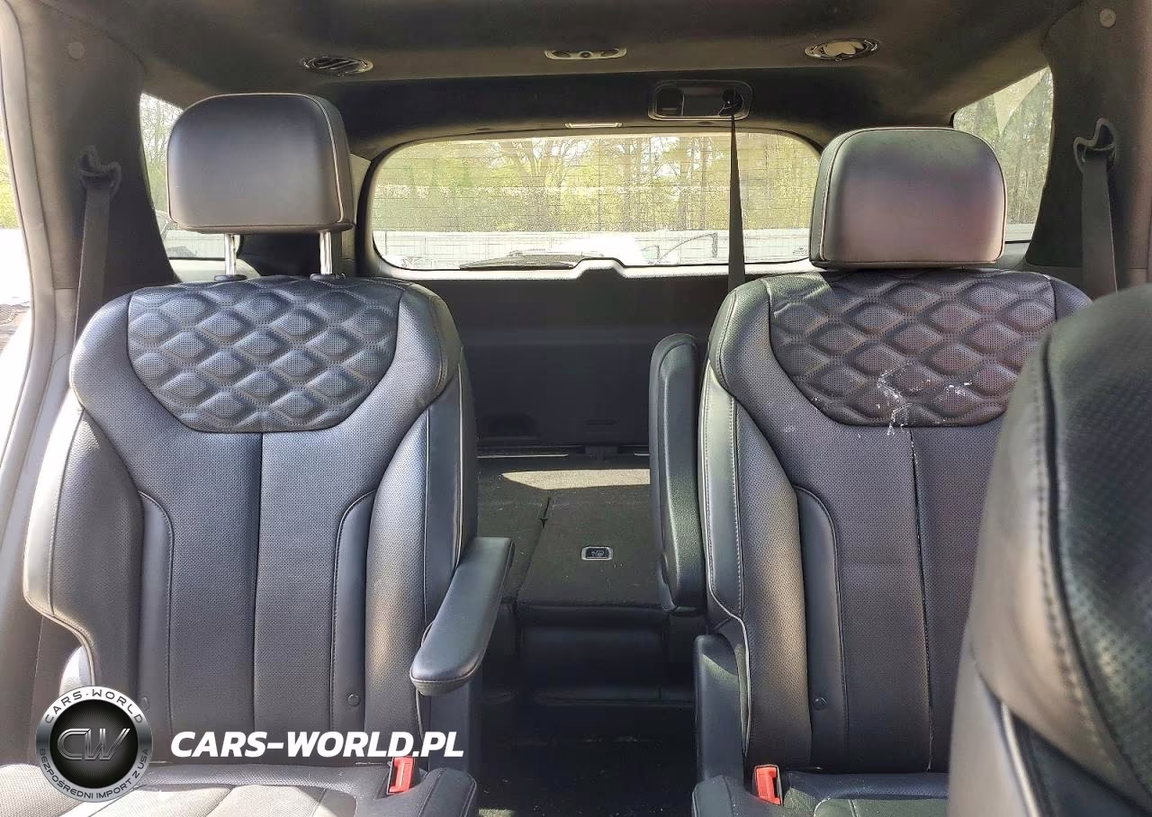 2021 Hyundai Palisade Calligraphy VIN:KM8R7DHE8MU196080 - 10