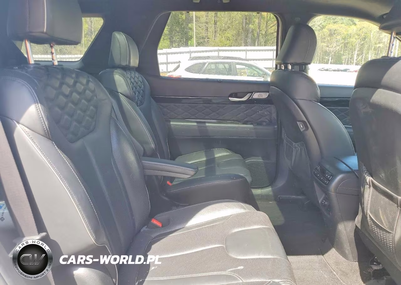 2021 Hyundai Palisade Calligraphy VIN:KM8R7DHE8MU196080 - 11