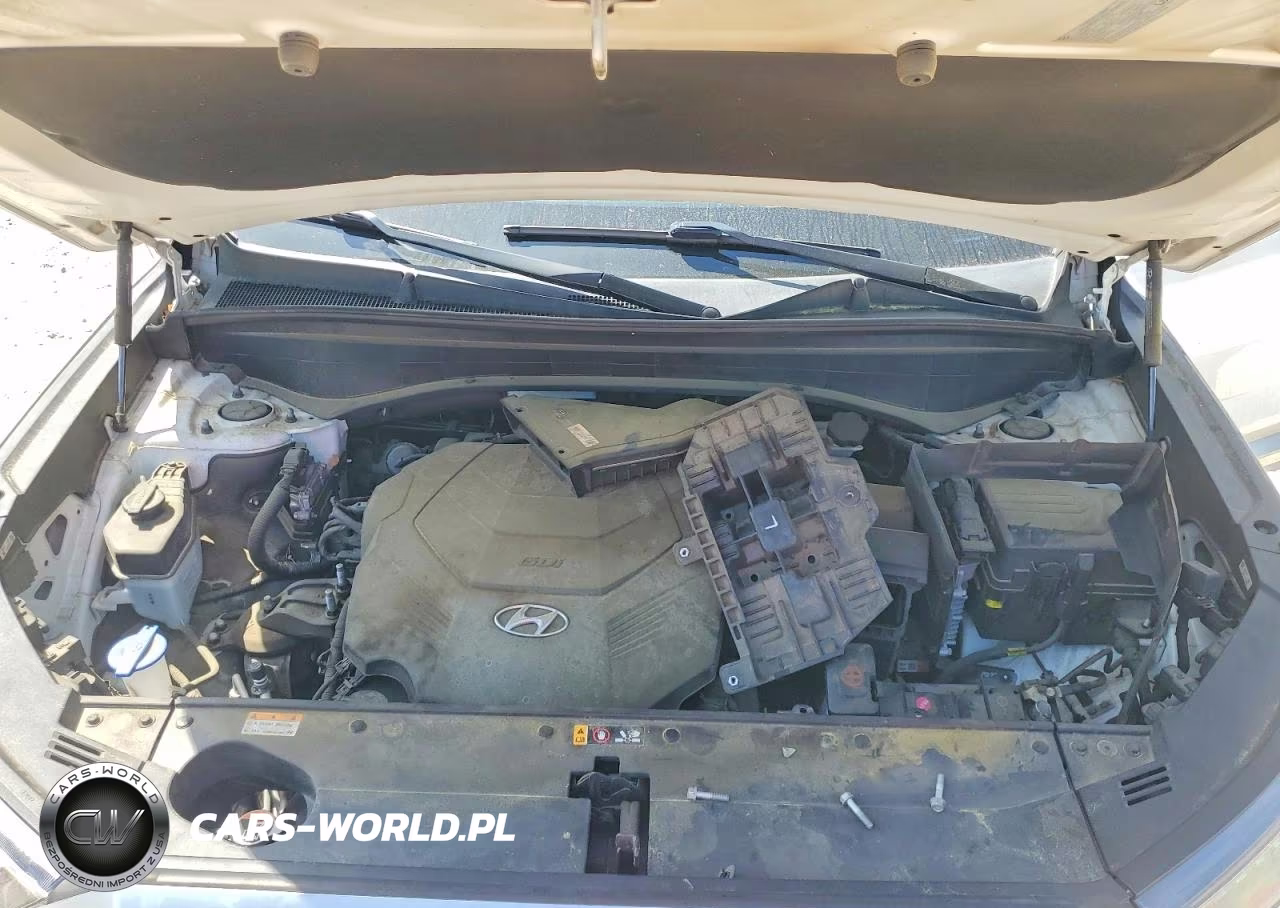 2021 Hyundai Palisade Calligraphy VIN:KM8R7DHE8MU196080 - 12