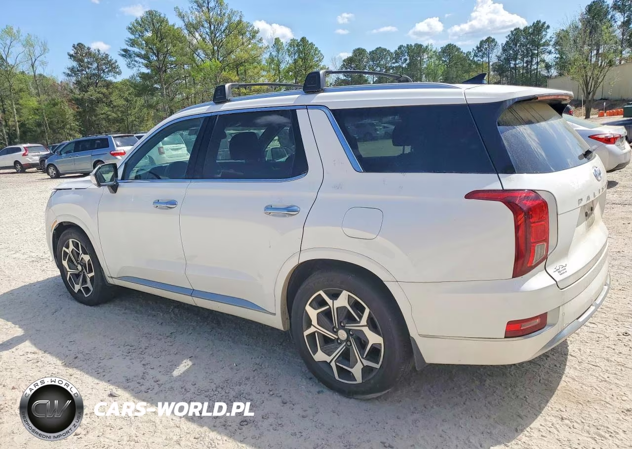 2021 Hyundai Palisade Calligraphy VIN:KM8R7DHE8MU196080 - 2