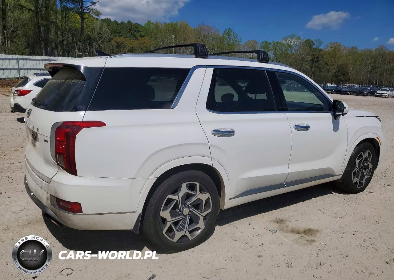 2021 Hyundai Palisade Calligraphy VIN:KM8R7DHE8MU196080 - 3