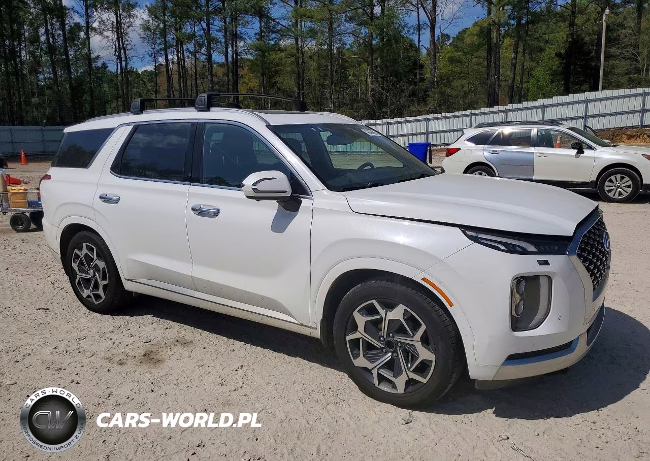 2021 Hyundai Palisade Calligraphy VIN:KM8R7DHE8MU196080 - 4