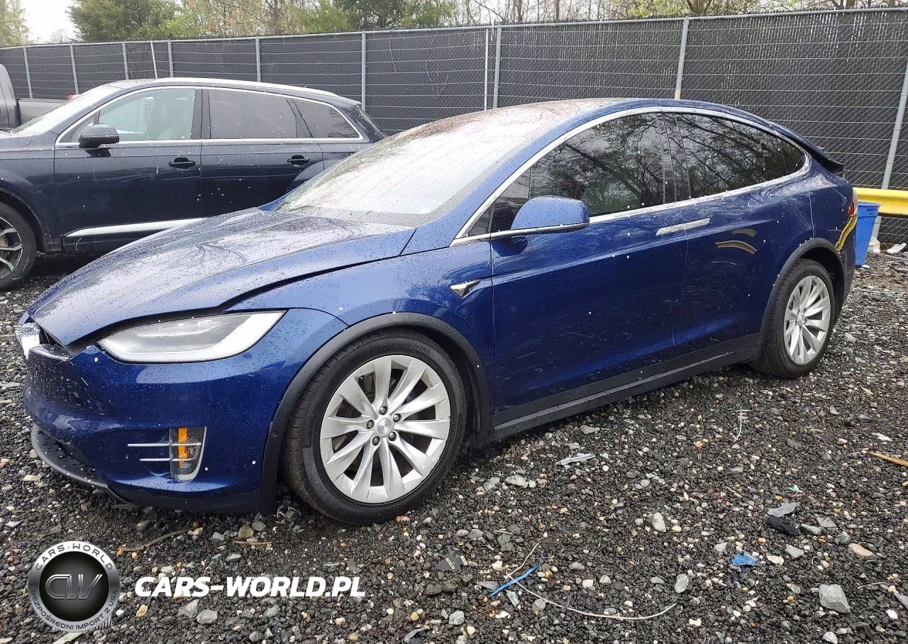 2019 Tesla Model X