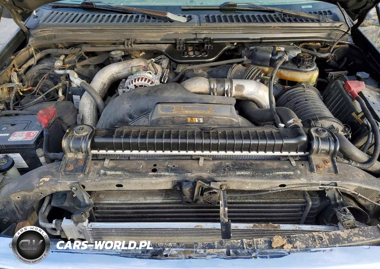 2004 Ford F250 Super Duty VIN:1FTNW21P34EA18559 - 11
