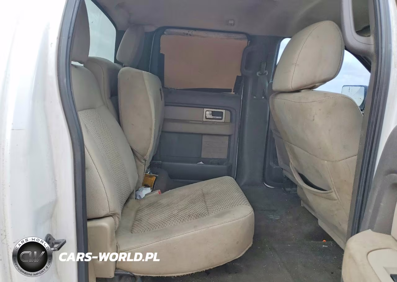 2010 Ford F150 Supercrew VIN:1FTEW1C87AFD62210 - 10