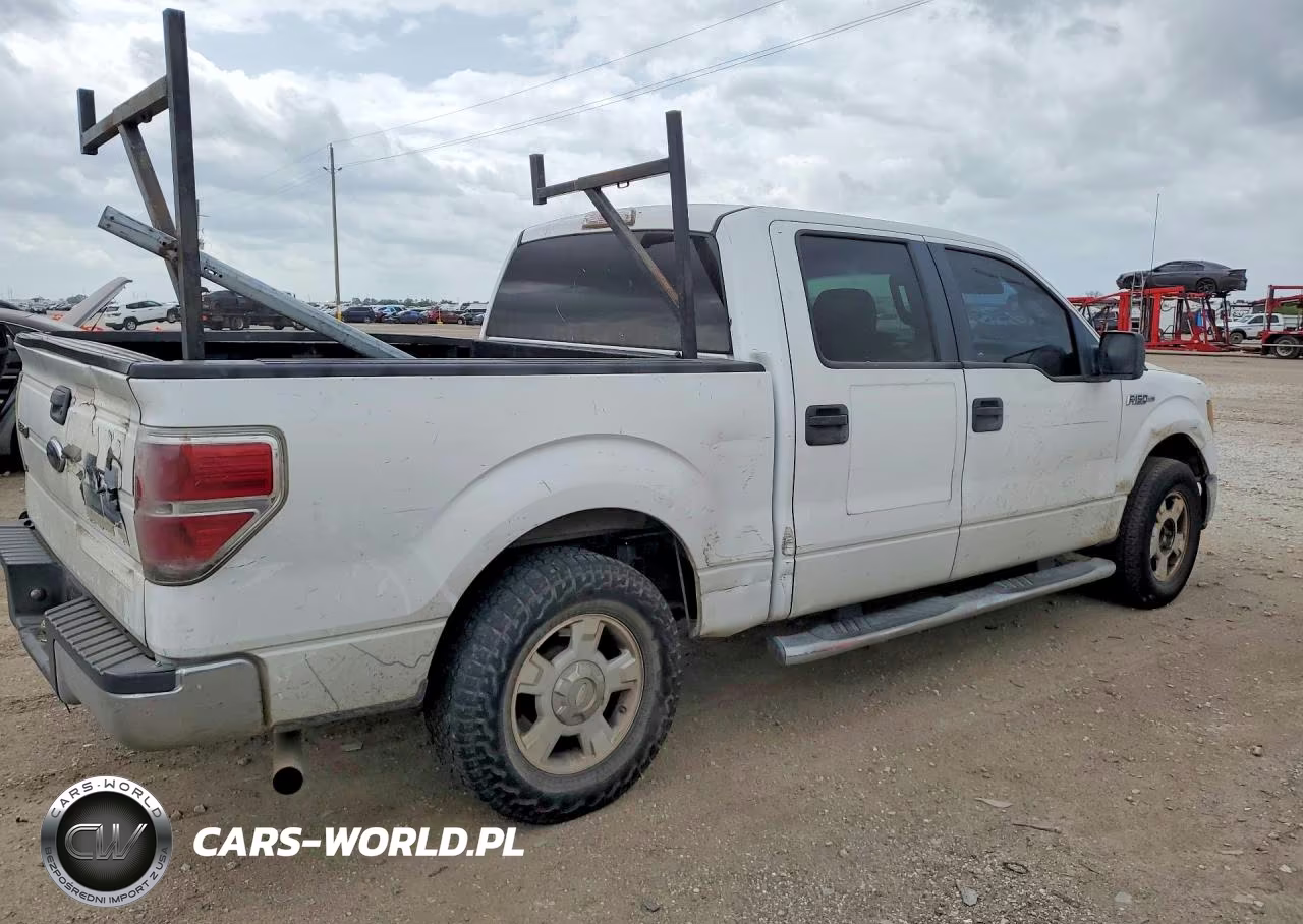 2010 Ford F150 Supercrew VIN:1FTEW1C87AFD62210 - 3