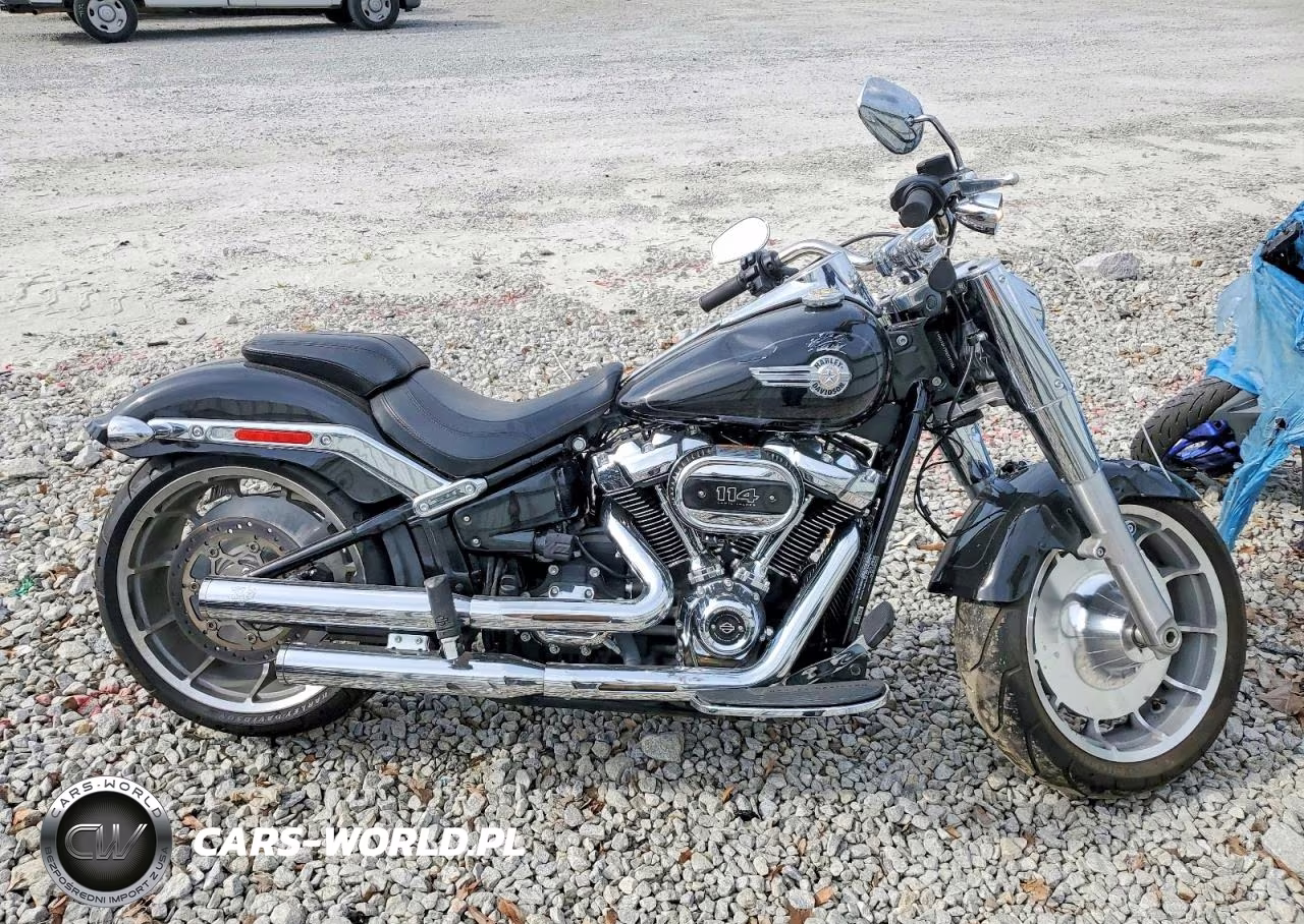 2023 Harley-Davidson Flfbs