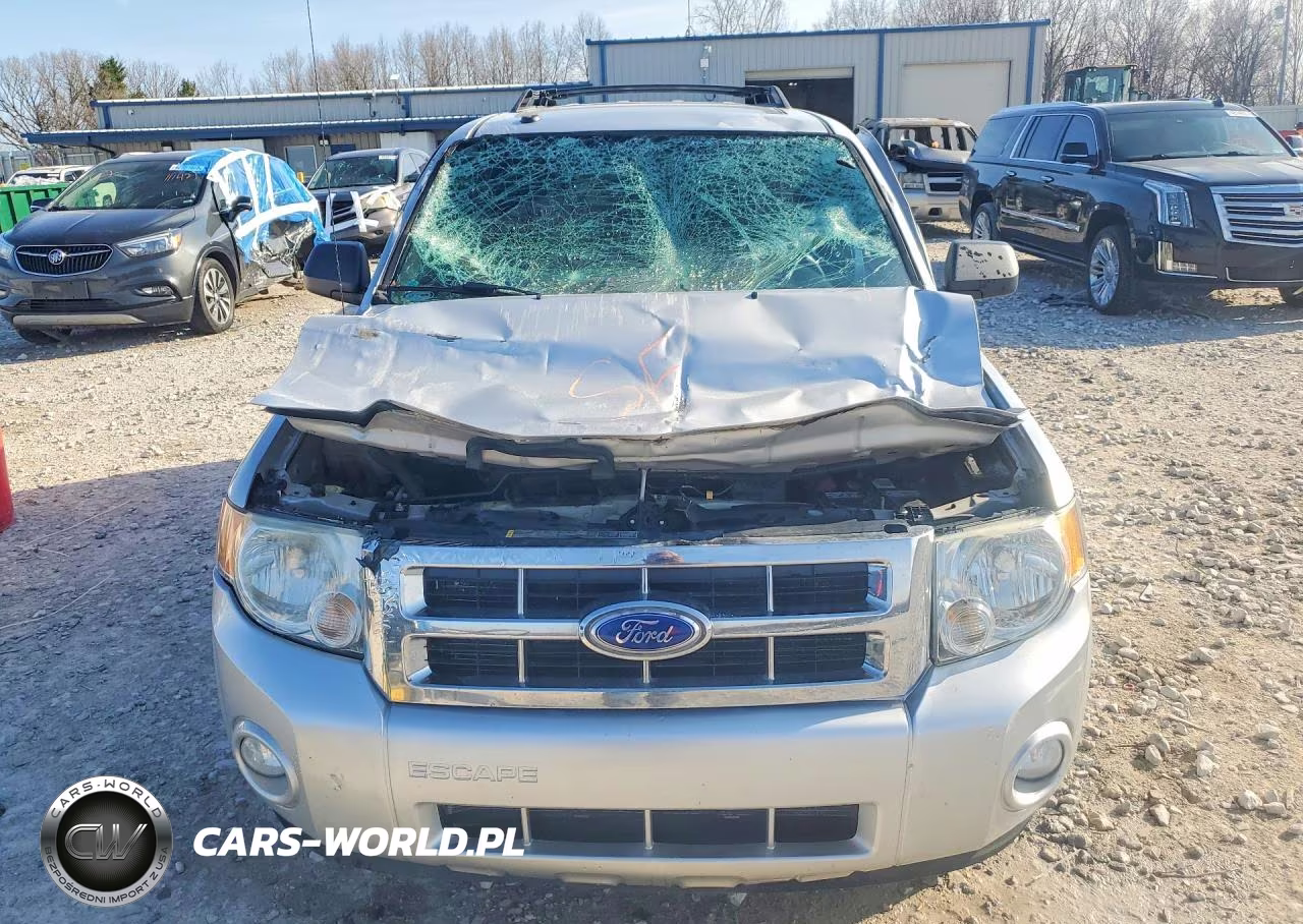 2011 Ford Escape Xlt VIN:1FMCU0DGXBKC09919 - 5