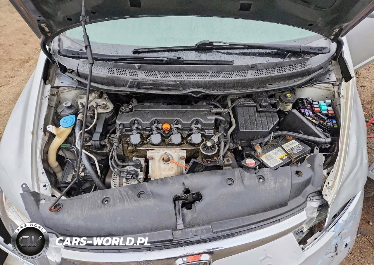 2009 Honda Civic Lx VIN:2HGFA16509H301085 - 11