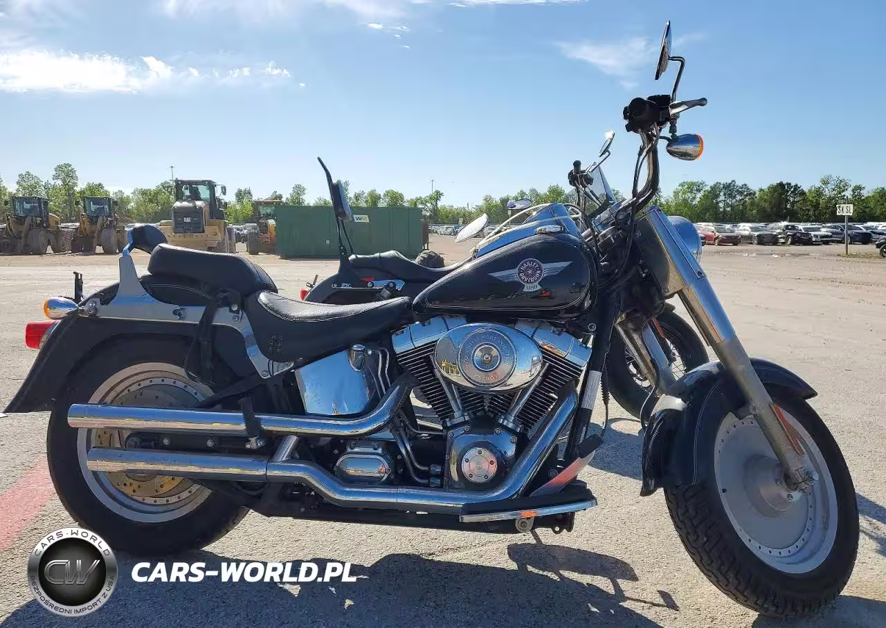 2006 Harley-Davidson Flstfi