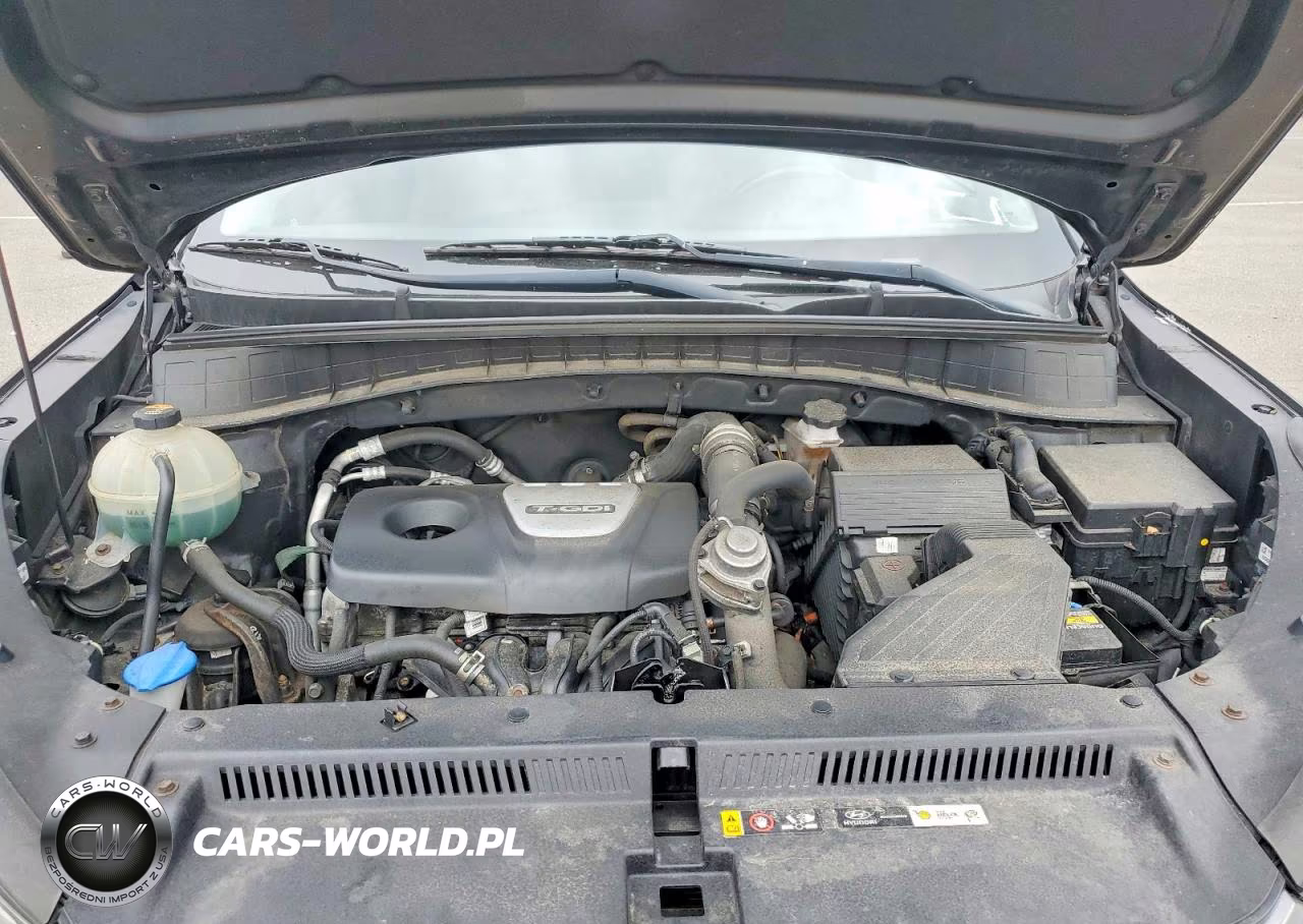2017 Hyundai Tucson Sport VIN:KM8J3CA22HU296555 - 12