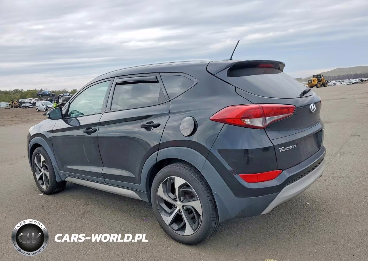 2017 Hyundai Tucson Sport VIN:KM8J3CA22HU296555 - 2
