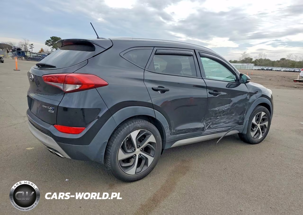 2017 Hyundai Tucson Sport VIN:KM8J3CA22HU296555 - 3