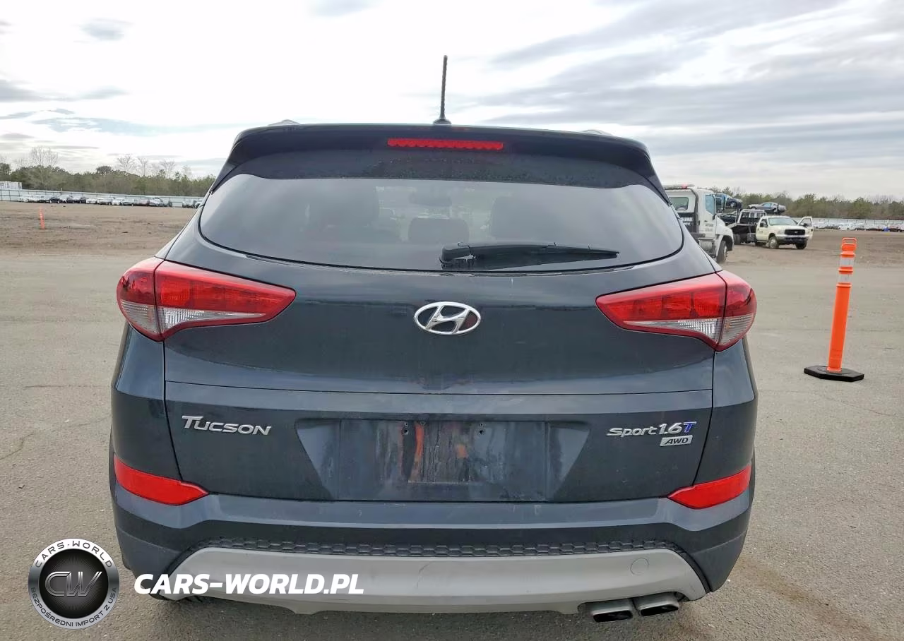 2017 Hyundai Tucson Sport VIN:KM8J3CA22HU296555 - 6