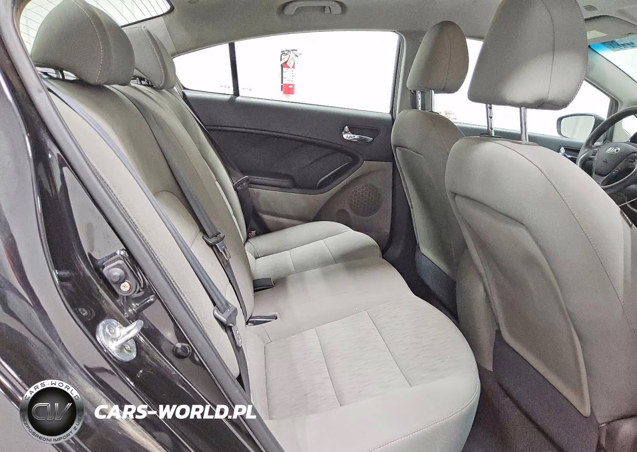 2015 Kia Forte Lx VIN:KNAFK4A62F5387710 - 10