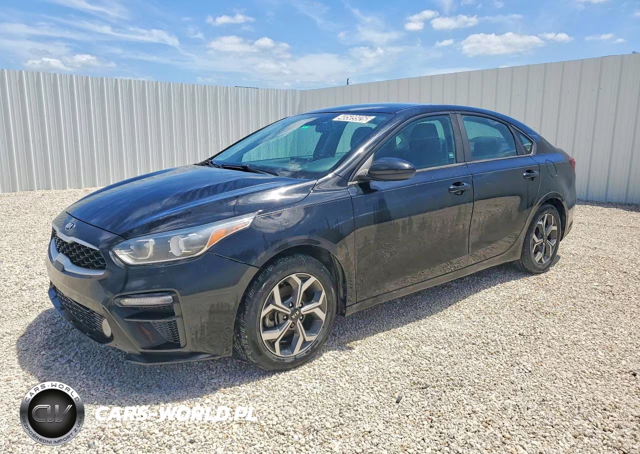 2019 Kia Forte Lxs