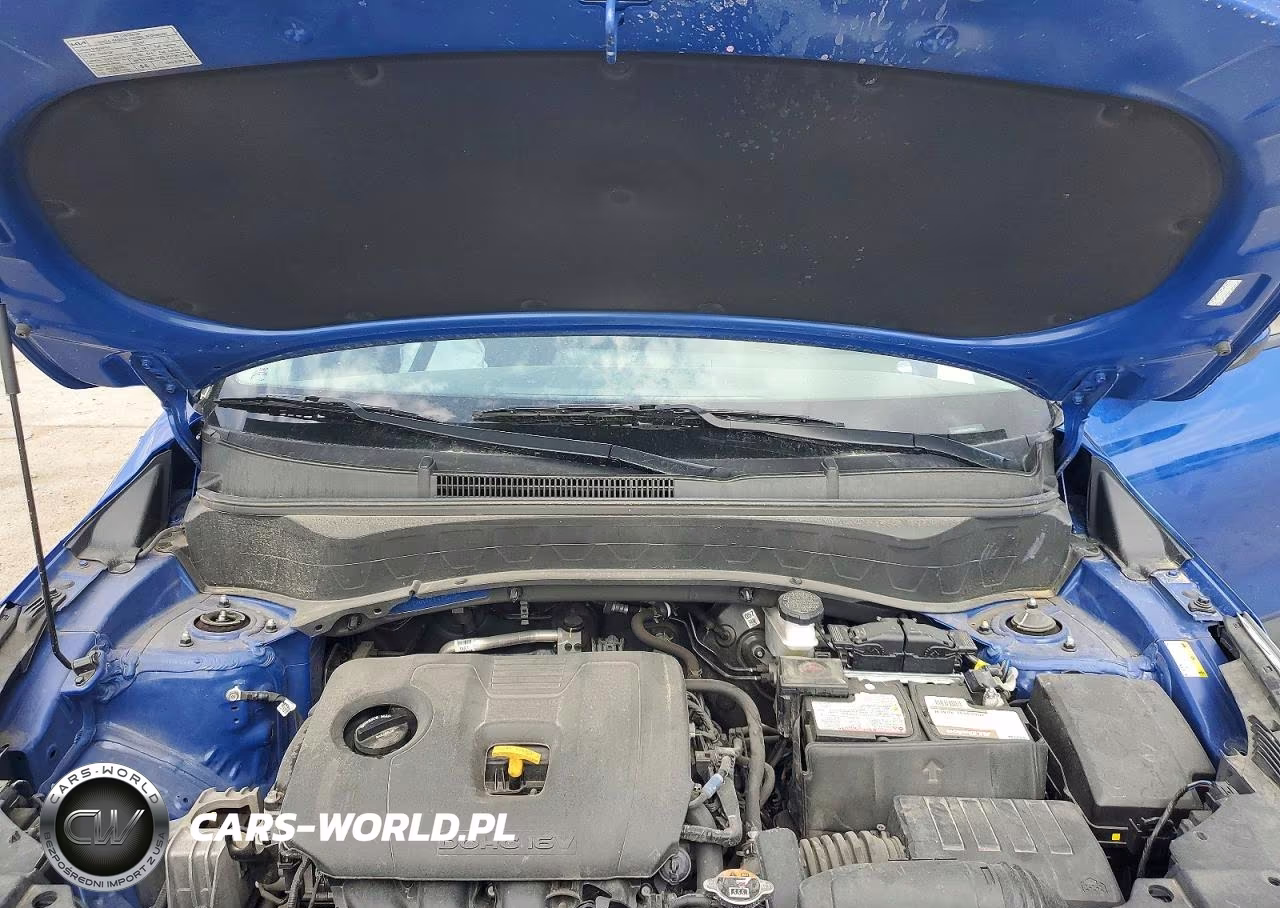 2024 Kia Seltos Lx VIN:KNDEPCAA4R7475794 - 12