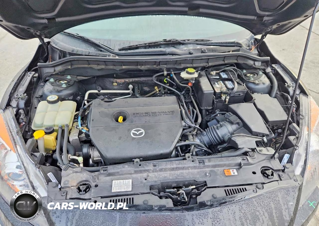 2010 Mazda 3 I VIN:JM1BL1SF8A1246734 - 11