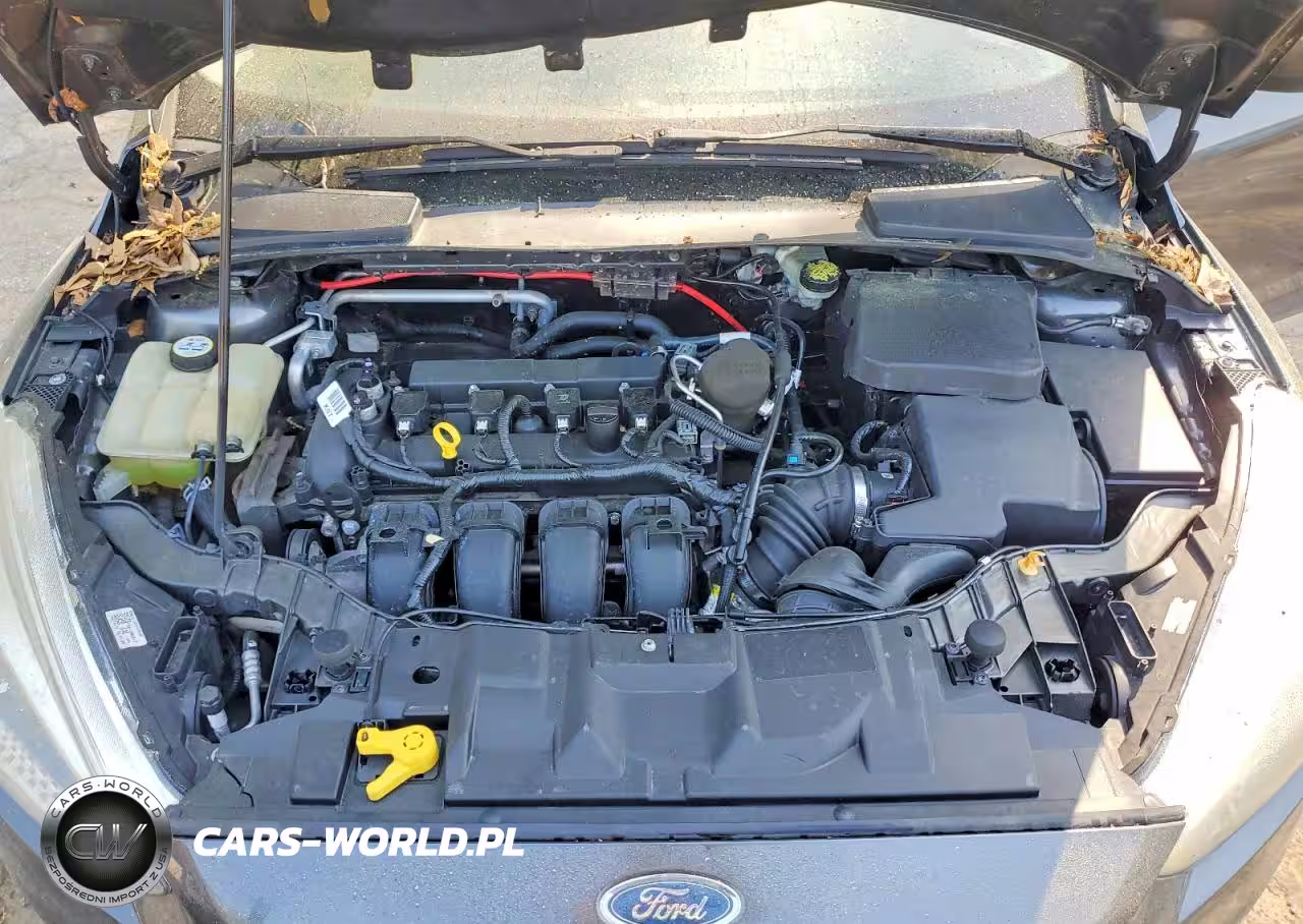 2016 Ford Focus S VIN:1FADP3E26GL224011 - 11