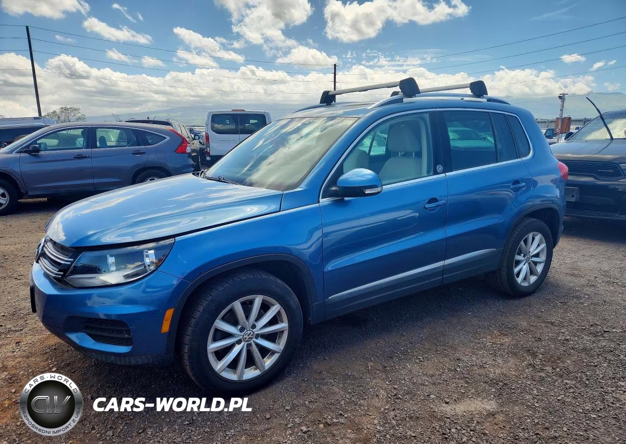 2017 Volkswagen Tiguan Wolfsburg