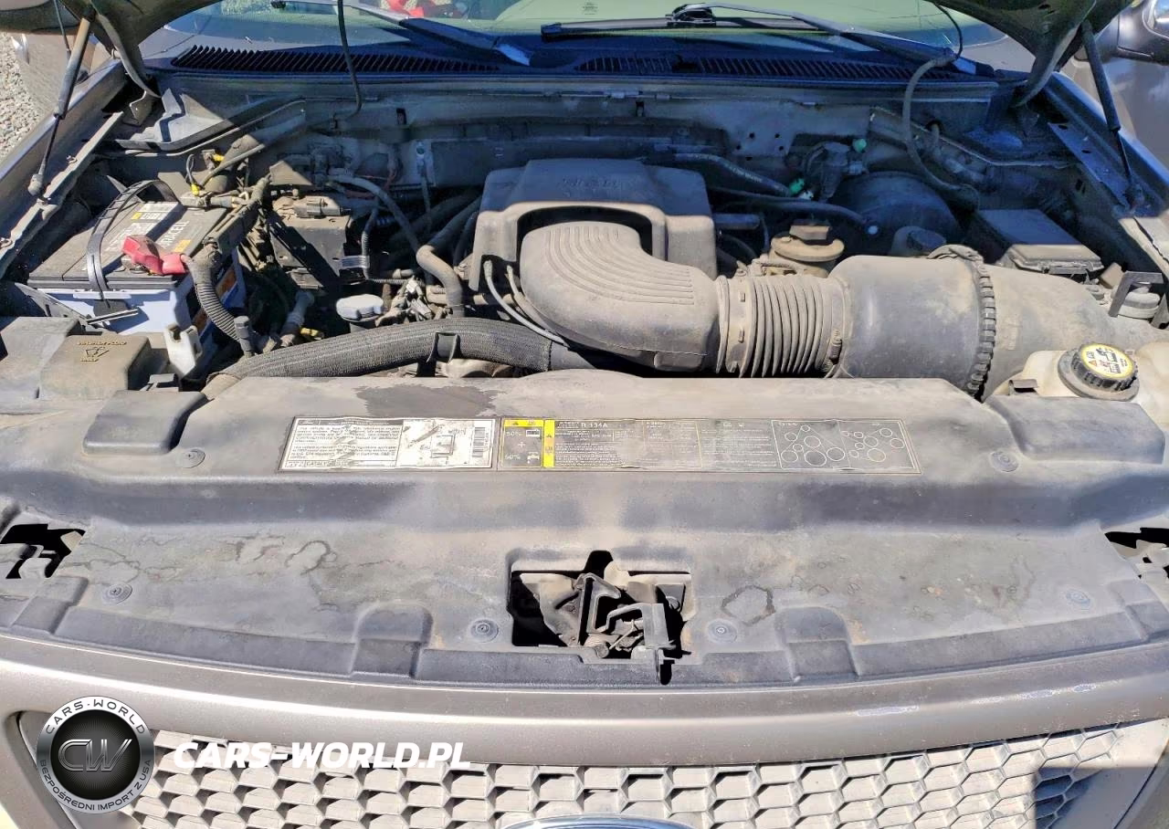 2002 Ford F150 VIN:1FTRX17L12NB94407 - 11