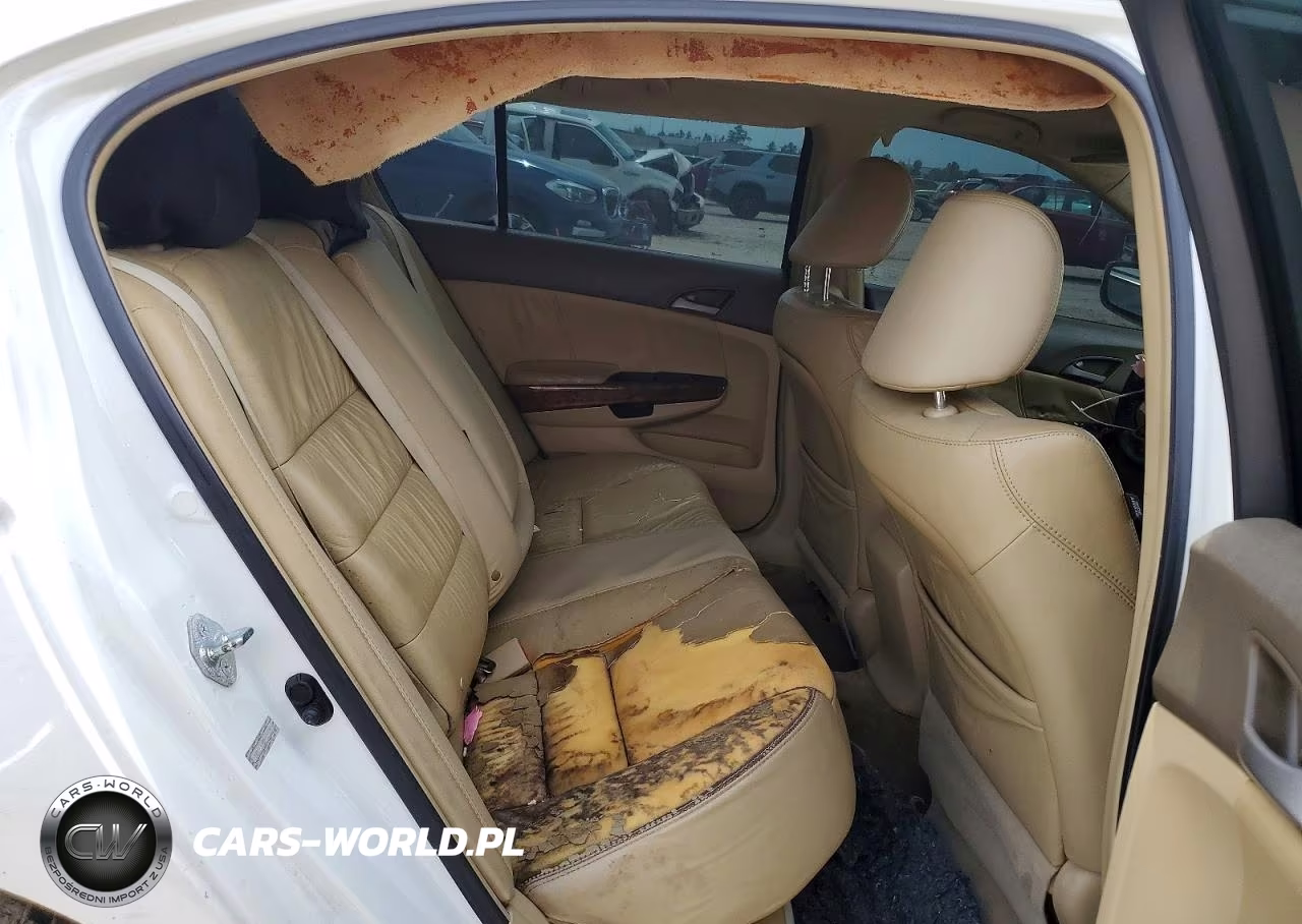 2009 Honda Accord Exl VIN:1HGCP368X9A018246 - 10