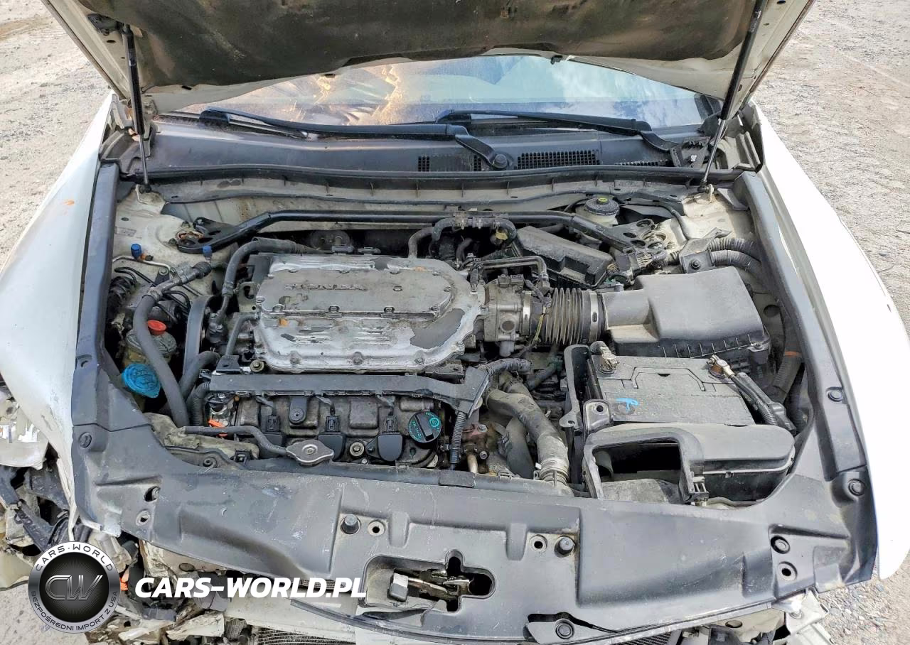 2009 Honda Accord Exl VIN:1HGCP368X9A018246 - 11