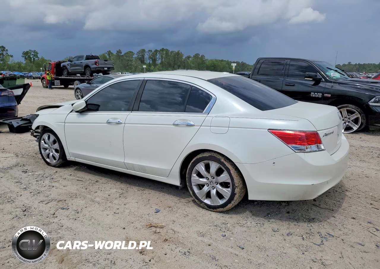 2009 Honda Accord Exl VIN:1HGCP368X9A018246 - 2