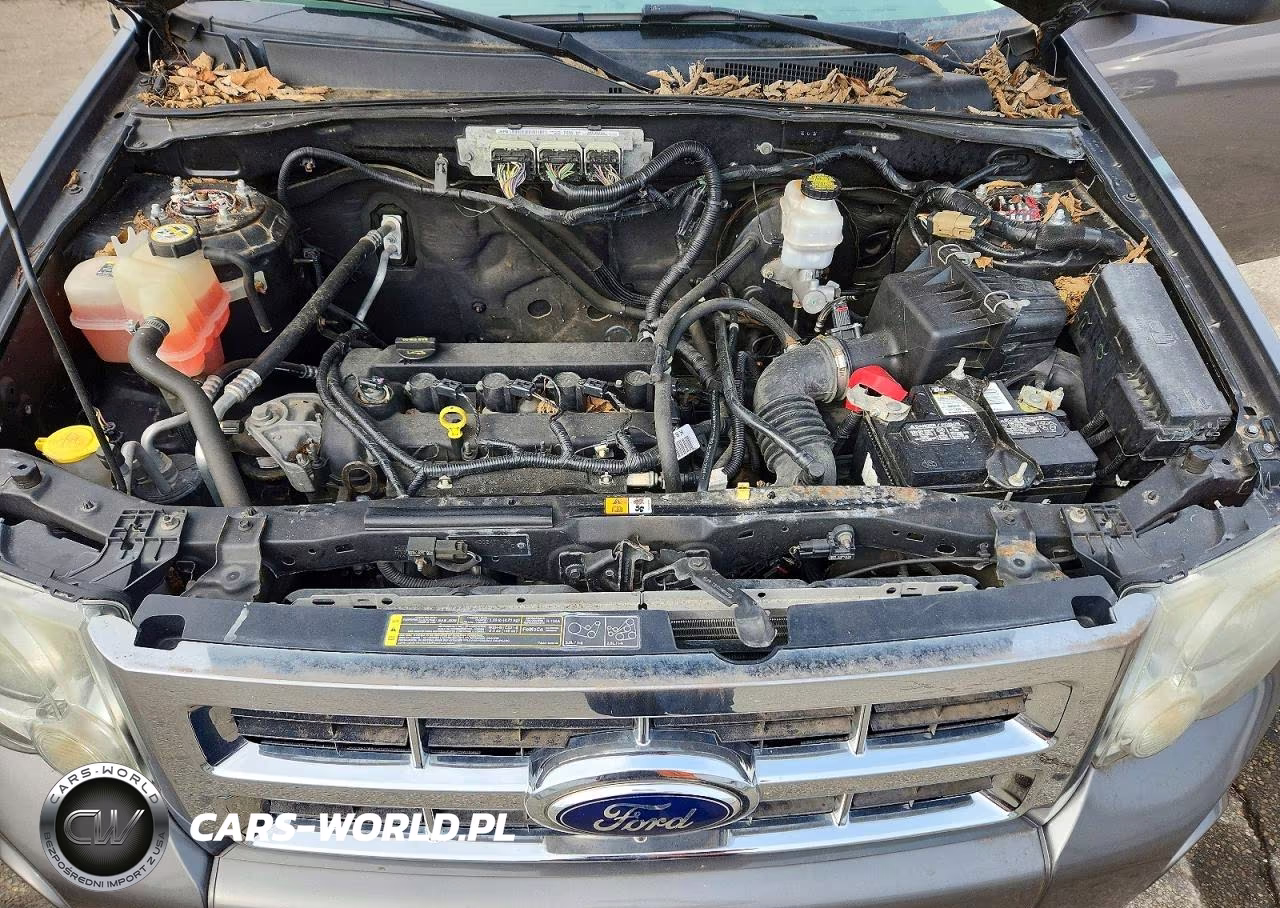 2012 Ford Escape Xlt VIN:1FMCU0D79CKC62872 - 12